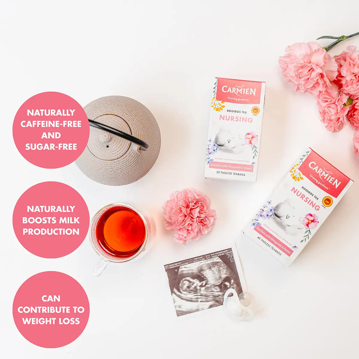 Carmién Nursing with Fenugreek & Fennel (40 Teabags)